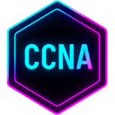 CCNA Level 1